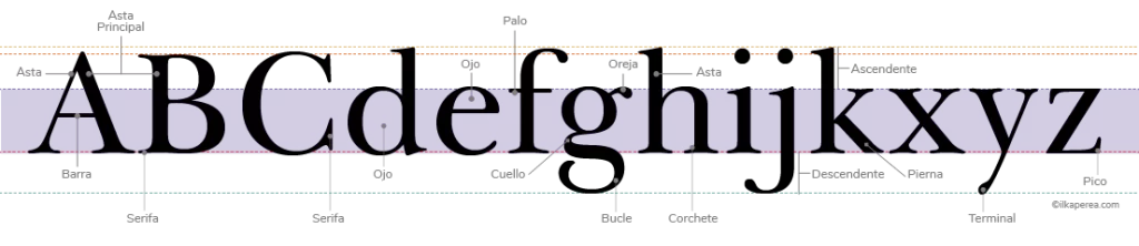 Anatomía de la Tipografía: Componentes en Ilka Perea Studio